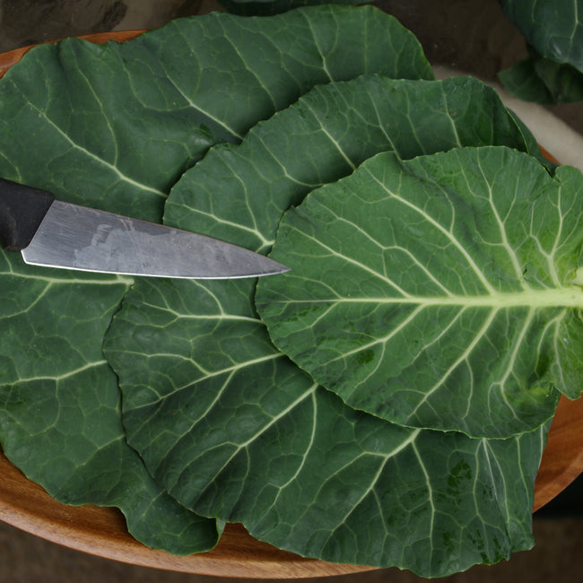 VATES-COLLARD