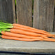 Side view of a bunch of long, slender Candysnax carrots with short green tops on a weathered wooden bench