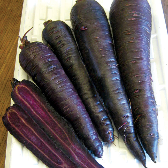 Close-up of Purple Sun carrots showing deep purple skin and vivid purple interior on a white tray