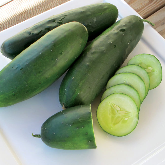 Close-up of Raider cucumbers showing uniform cylindrical glossy deep-green fruit with sliced cucumber on a white plate