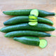 Three-quarter view of Bella cucumbers showing elongated slim fruits with one sliced to reveal pale green flesh on a light wood background