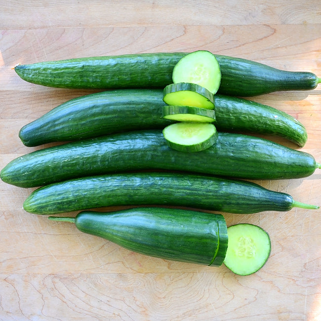 Three-quarter view of Bella cucumbers showing elongated slim fruits with one sliced to reveal pale green flesh on a light wood background