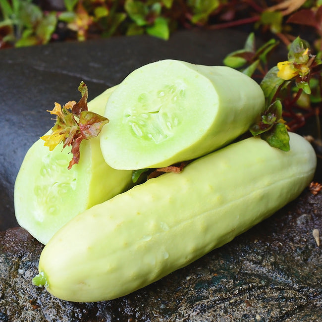 MARTINI-CUCUMBER