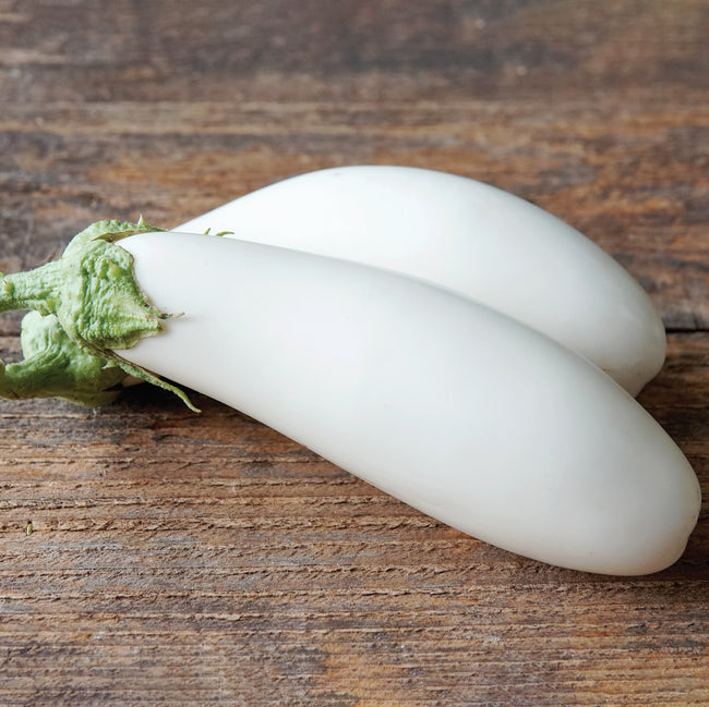 SNOWY-EGGPLANT