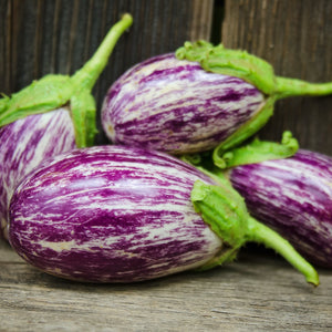 Front view of Listada De Gandia eggplants showcasing purple and cream streaked skin and elongated shape on light background