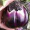 Close-up of Prosperosa eggplant showcasing pleated deep purple fruit with cream near the stem, held in hand against foliage