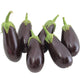 Front view of six Michal eggplants showing glossy dark purple elongated fruit with green calyxes on white background