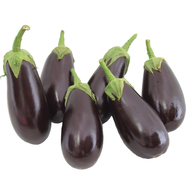 Front view of six Michal eggplants showing glossy dark purple elongated fruit with green calyxes on white background