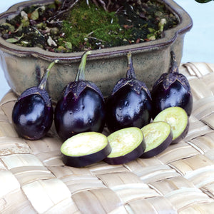 Close-up of Patio Baby eggplants showing small dark purple 2 to 3 inch egg-shaped fruits on a container rim