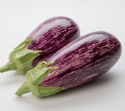 Angled view of Annina eggplants showing glossy cream and purple streaked teardrop fruit on white background