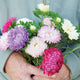 TOWER SERIES MIX-ASTER