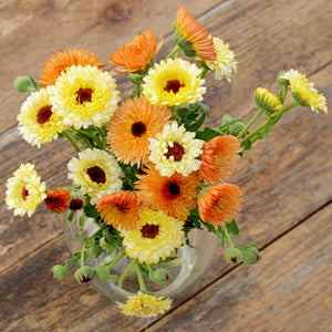 Top view of Cantaloupe calendula bouquet showcasing cream-to-apricot double blooms in a glass vase on a weathered wood table