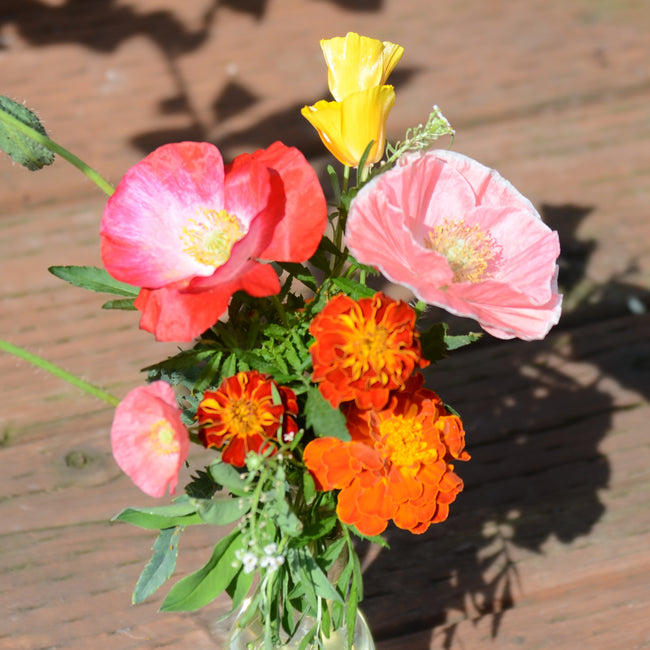 Front view of Deer Resistant Mix seed packet showcasing colorful mixed flowers with white background