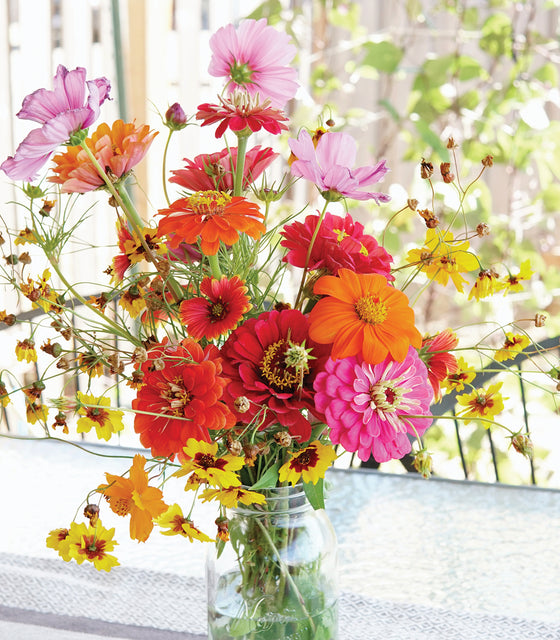 Close-up of Monarch Butterfly Garden Mix showing bright orange, pink and yellow blooms in a mason jar on a sunlit patio table