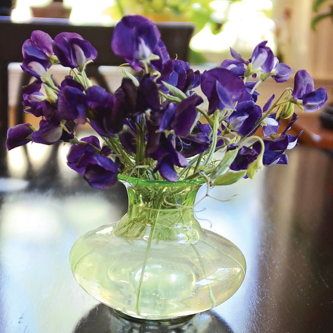 Front view of King Size Navy Blue sweet pea bouquet showcasing deep navy-blue ruffled blooms in a small green glass vase