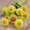 Close-up of Queen Lime With Blotch zinnia showing chartreuse petals and bright pink centers on a blurred green background