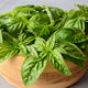 Close-up of Profumo basil leaves showing glossy bright green oval leaves in a wooden bowl on a gray surface