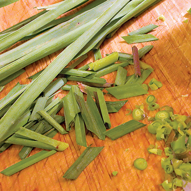 Front view of lemongrass herb transplant showing a clump of green grassy stalks on a white background