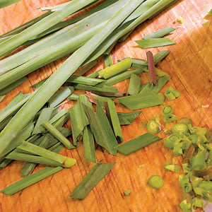 Front view of lemongrass herb transplant showing a clump of green grassy stalks on a white background