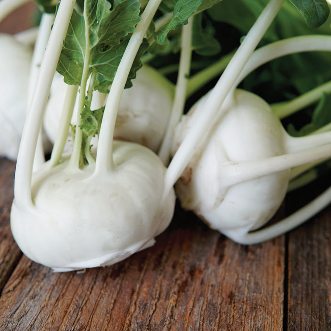 Front view of Beas kohlrabi bulbs showing uniform pearly white 2 to 3 inch bulbs with light green stems on a wooden table