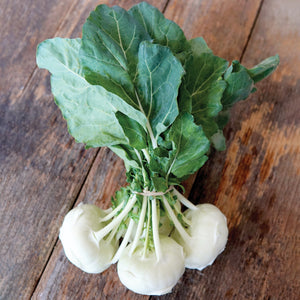 Front view of Beas kohlrabi bulb showing a pearly white round bulb with light green stems and leaves on a plain background