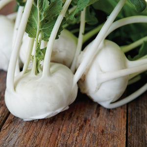 Front view of Beas kohlrabi bulbs showing uniform pearly white 2 to 3 inch bulbs with light green stems on a wooden table