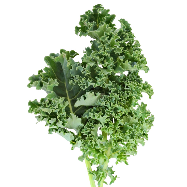 Close-up of Starbor kale leaf showing curly blue-green leaves and frilled edges on white background