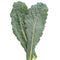 Close-up of Black Magic lacinato kale leaves showcasing dark, savoyed texture on white background