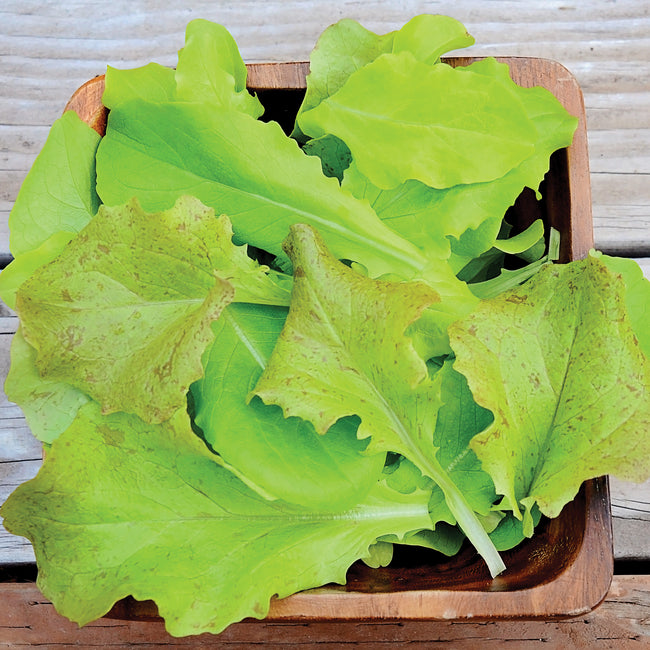 Top-down view of Super Gourmet Salad Blend lettuce leaves in a wooden bowl showing frilly light-green looseleaf texture