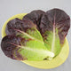 Top view of Truchas romaine lettuce leaves showing deep red outer leaves and bright green ribs on a pale yellow plate