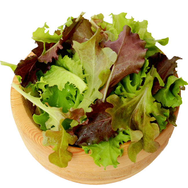 Top-down view of Lofty Salad Mix lettuce showing red and green loose-leaf and romaine leaves in a wooden bowl on white background