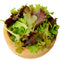 Top-down view of Lofty Salad Mix lettuce showing red and green loose-leaf and romaine leaves in a wooden bowl on white background