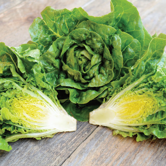 Front view of Xalbadora romaine lettuce head with two halves showing dense yellow-green hearts on a wooden board