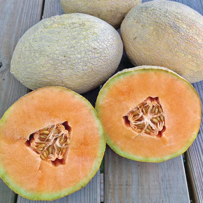 SUGAR RUSH-MELON