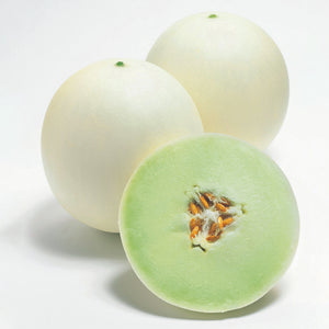Front view of Honeycomb melon showing cream rind and pale green flesh, two whole and one halved on white background