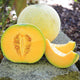 Three-quarter view of Divergent melon showing pale netted rind and sliced orange-fleshed cantaloupe on a white background