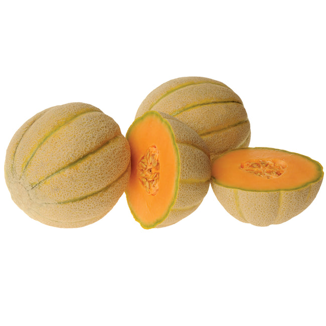 HALONA-MELON