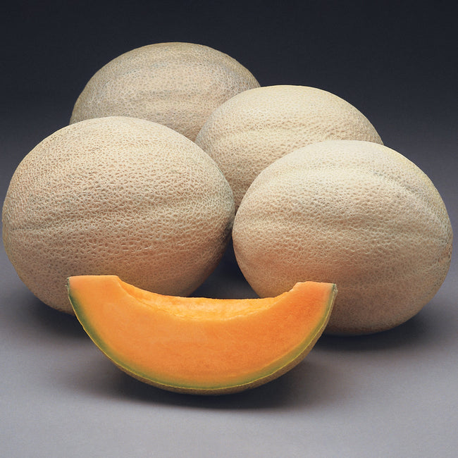 Front view of Athena cantaloupe melons showing coarsely netted rind and a sliced wedge with bright orange flesh on dark background