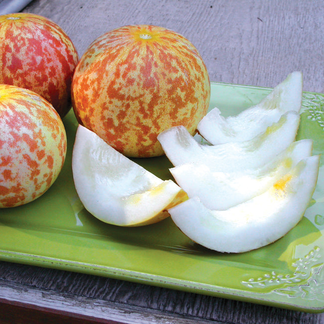 Close-up of Tigger melons, one sliced to show white flesh, showcasing tiger-striped rind on a green surface
