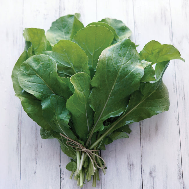 Close-up of Roquette arugula leaves showcasing long, dark green, arrow-shaped leaves on pale wood background