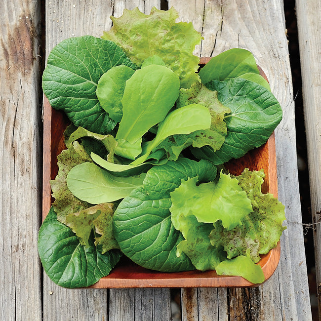 Top view of Tangy Mesclun Blend showing mixed baby lettuces and arugula in a wooden bowl on weathered wood