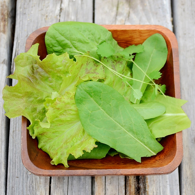 Top-down view of Italian Saladini Blend mixed lettuce leaves in a wooden bowl showing colorful loose leaf and butterhead greens