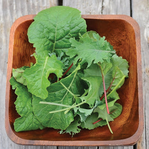 WINTER GREENS BLEND-GOURMET MESCLUN SALAD BLENDS