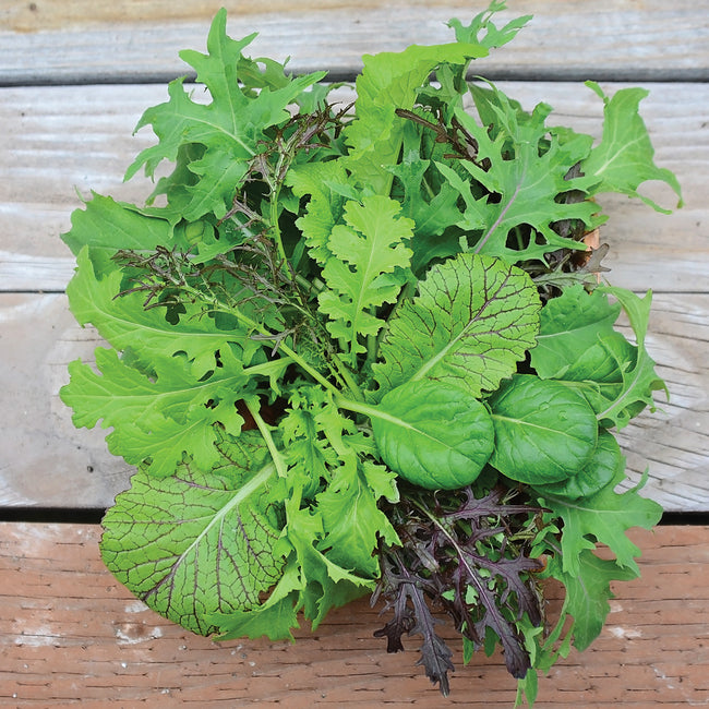 Front view of Sweet and Spicy Blend seed packet showing mixed baby kale and mustard greens on a wooden background