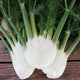 Close-up of Finale fennel bulbs cut in half showcasing white layered bulbs and green stalks on wooden background