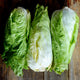 front view of three Nettuno Sugarloaf radicchio heads showcasing dense, teardrop-shaped green leaves and white cores on a white background