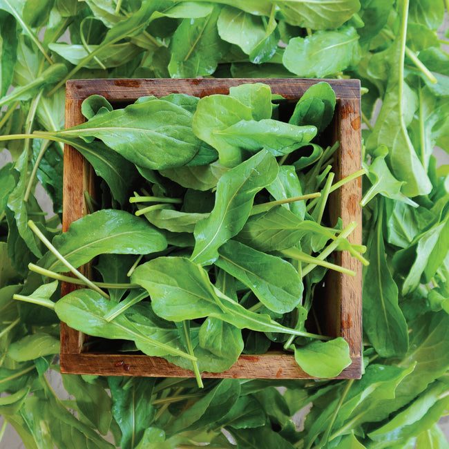 Top down view of Balboa arugula leaves in a wooden box showcasing fresh elongated salad leaves with loose leaves around