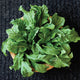 GREEN BRIGADE-ARUGULA