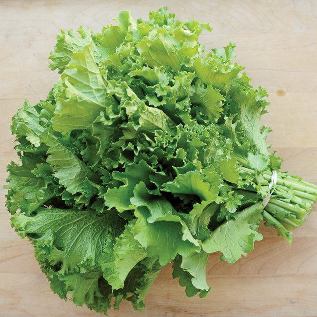 Top-down view of Green Wave mustard greens bundle showcasing dark green, heavily curled leaves on a wooden cutting board