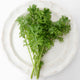 Top down view of Frizzy Joe mustard greens showcasing frilly, deeply serrated bright green leaves on a white ceramic plate